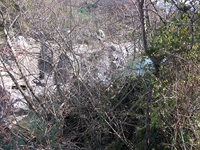 cantara piccole gole19022012 053